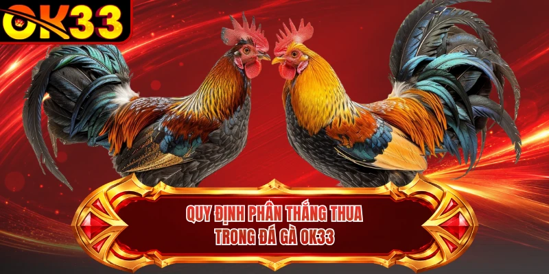 Quy định phân thắng thua trong đá gà OK33